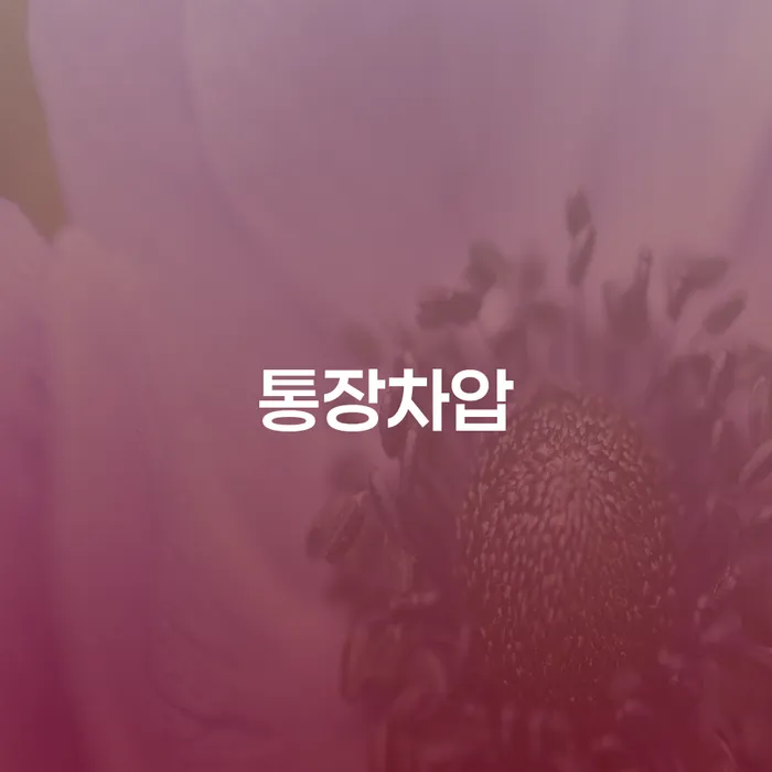 개인파산법무사 빚청산 자세하게 알아보자