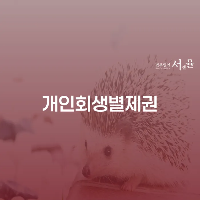 개인신용평가 개인파산 신청장점