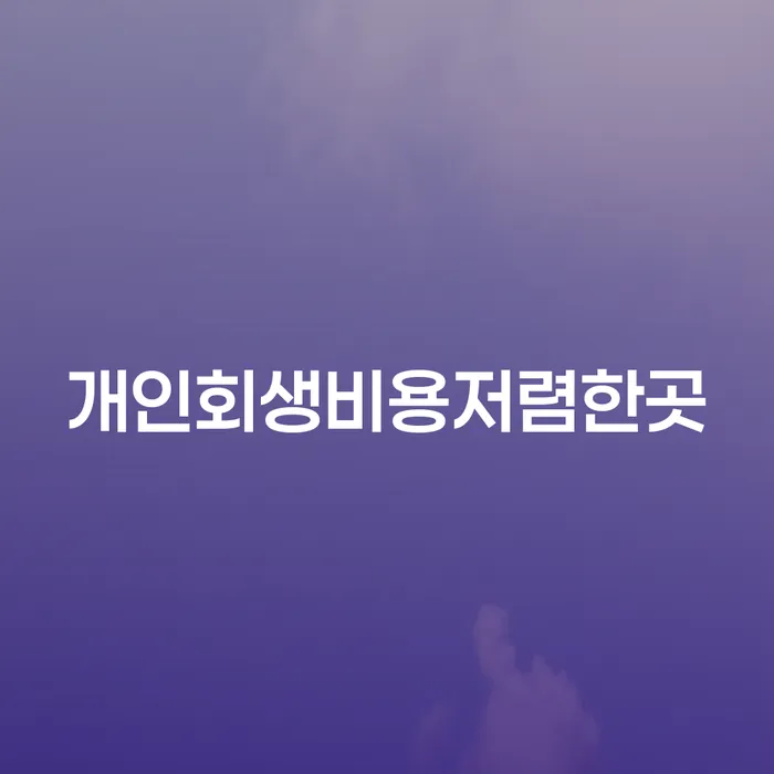 개인회생과정 개인회생으로 해결 면담후에