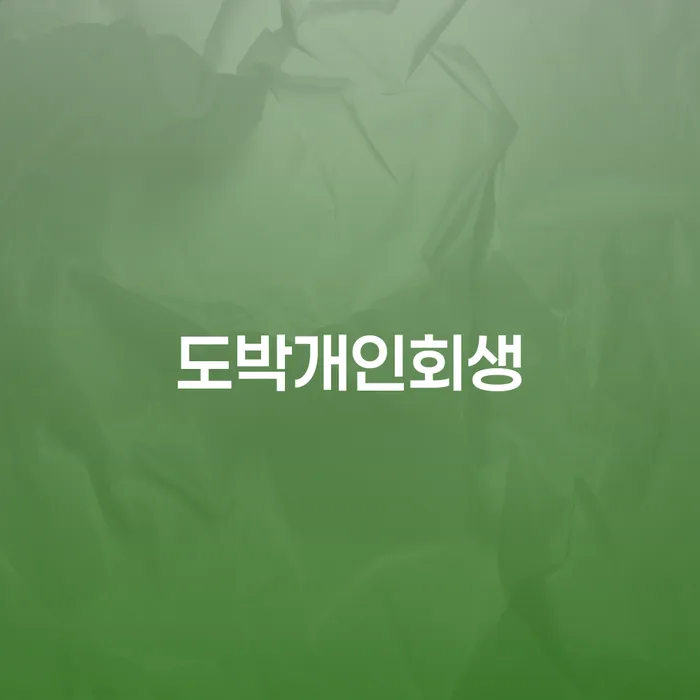 개인파산변호사 개인회생 처리방법 잘하기