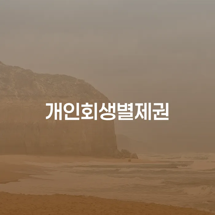 개인회생 개인회생으로 방법 면책받고