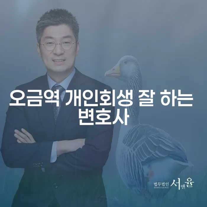 오금역 개인회생 잘 하는 변호사