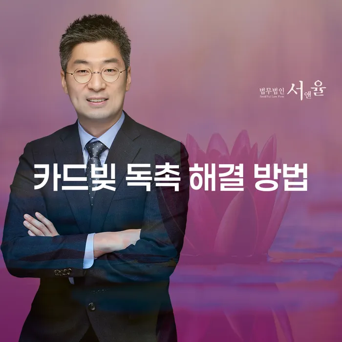 2000만원 카드빚 독촉, 어떻게 해결할 수 있을까요?