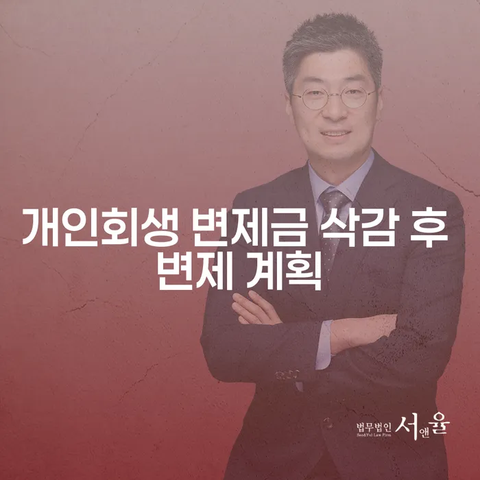 개인회생 변제금 삭감 후 변제 계획, 가능할까요?