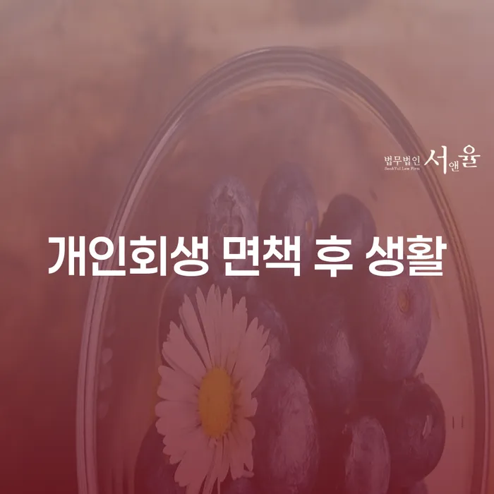개인회생 면책 후 생활, 어떻게 시작해야 할까요?